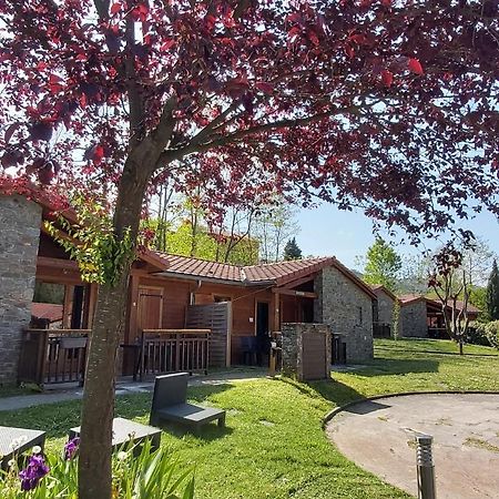 Le Hameau Du Comte De Foix Aparthotel Mercus-Garrabet Bagian luar foto